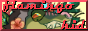 flamingokid's button